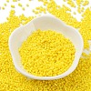 Baking Paint Glass Seed Beads SEED-S042-05B-81-2