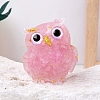 Resin Owl Display Decoration LS-PW-WG50315-03-1