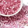 Glass Seed Beads X1-SEED-H002-D-A808-1