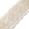 Natural Agate Beads Strands G-D317-A01-09-2