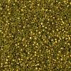 TOHO Round Seed Beads SEED-JPTR11-0996FM-2