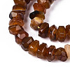 Natural Agate Beads Strands G-N356-01A-03-4
