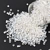 TOHO 8/0 Round Beads SEED-TR08-2100-1
