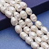 Natural Cultured Freshwater Pearl Beads Strands PEAR-P060-03B-01-1