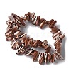 Dyed Natural Trochus Shell Beads Strands SSHEL-C013-09B-2