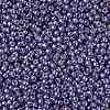 TOHO 11/0 Round Beads SEED-XTR11-PF0567-2