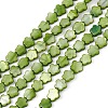 Natural Freshwater Shell Dyed Beads Strands SHEL-K001-001G-2