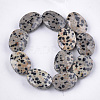 Natural Dalmatian Jasper Beads Strands X-G-S354-15-2