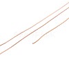10M 304 Stainless Steel Wire TWIR-N005-0.3mm-RG-2