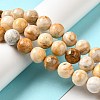 Natural Crazy Lace Agate Beads Strands G-H298-A12-05-2