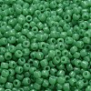 TOHO 3/0 Round Beads SEED-TR03-0156-4