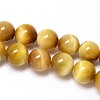 Natural Gold Tiger Eye Beads Strands G-C076-4mm-1AA-1