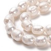 Natural Cultured Freshwater Pearl Beads Strands PEAR-L033-77-01-2