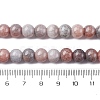 Ombre Effect Dyed Glass Beads Strands GLAA-T031-01O-14-5