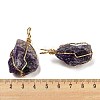 Raw Rough Natural Amethyst Iron Wire Wrapped Pendants G-H308-03G-03-3