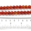 Natural Carnelian Beads Strands X-G-G390-8mm-03-2