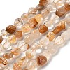 Natural Quartz Beads Strands G-P497-01E-57-1