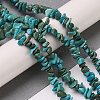Natural Turquoise Chip Beads Strands G-D093-A01-2