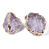 Plated Natural Amethyst Beads G-T133-20-2