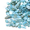 Shell Beads SHEL-R020-08-1