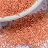 MIYUKI Round Rocailles Beads X-SEED-G009-RR0539-1