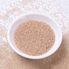 MIYUKI Delica Beads X-SEED-J020-DB1410-2
