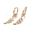 Brass Micro Pave Cubic Zirconia Dangle Hoop Earrings EJEW-C073-39KCG-1