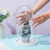 Glass Dome Cover AJEW-WH0001-95B-3