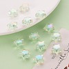 Transparent Acrylic Beads TACR-S152-02D-SS2111-6