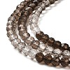 Natural Smoky Quartz Beads Strands G-Q002-B02-01-4