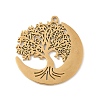 304 Stainless Steel Pendants STAS-V016-10G-1
