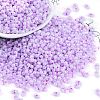 Lustered Glass Seed Beads SEED-K010-04A-1