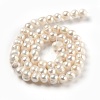 Natural Cultured Freshwater Pearl Beads Strands PEAR-L033-06-3