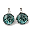 Tortoise Glass Leverback Earrings with Brass Earring Pins EJEW-Q798-01A-1