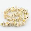Natural Shell Bead Strands BSHE-P010-02-2