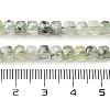 Natural Prehnite Beads Strands G-H042-A46-03-5