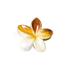 Resin Claw Hair Clips PW-WG93676-04-1
