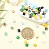 80Pcs 10 Styles 2-Hole Glass Seed Beads SEED-YW0002-94-4
