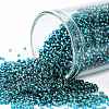 TOHO Round Seed Beads SEED-XTR15-0027BD-1