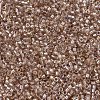 MIYUKI Delica Beads SEED-X0054-DB2373-3