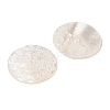 Natural White Shell Cabochons SSHEL-C012-12-2