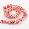 Natural Shell Bead Strands BSHE-P010-03-2
