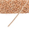 MIYUKI Delica Beads X-SEED-J020-DB2518-4