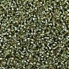 MIYUKI Delica Beads SEED-J020-DB2163-3