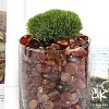 Dyed & Heated Natural Agate Beads G-J402-03A-01-3