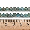 Natural Apatite Beads Strands G-RM250101-D1-A-3