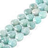 Natural Amazonite Beads Strands G-N342-18-1