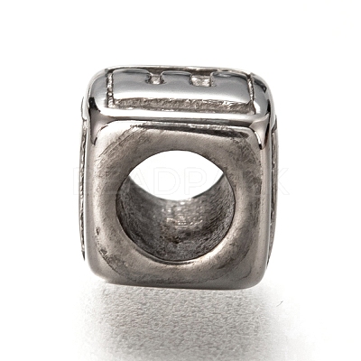 Tarnish Resistant 304 Stainless Steel European Beads OPDL-L020-001E-1
