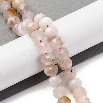 Natural Cherry Blossom Agate Beads Strands G-K380-A43-03-1