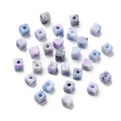 Transparent Acrylic Beads OACR-H044-04A-05-1